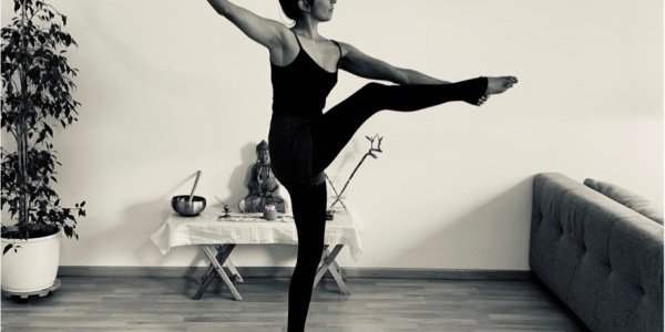 Cours de Ydance