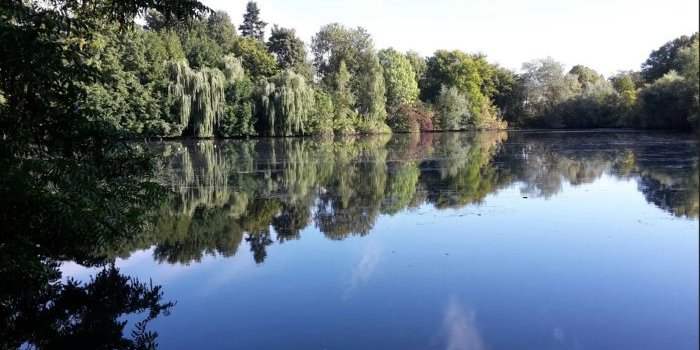 Balade découverte et discussion