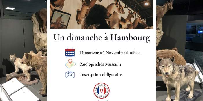 Un dimanche à Hambourg